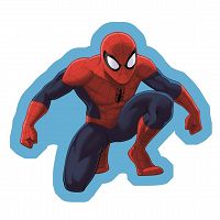 SHAPE CUSHOION SPIDERMAN