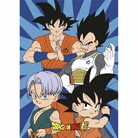 POLAR FLEECE DRAGON BALL Z 100X140CM