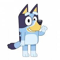 SHAPE CUSHION BLUEY