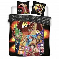 DUVET COVER ONE PIECE 200X200+2X63X63CM 100% POLYESTER