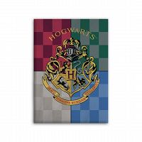 POLAR FLEECE HARRY POTTER 100X140CM